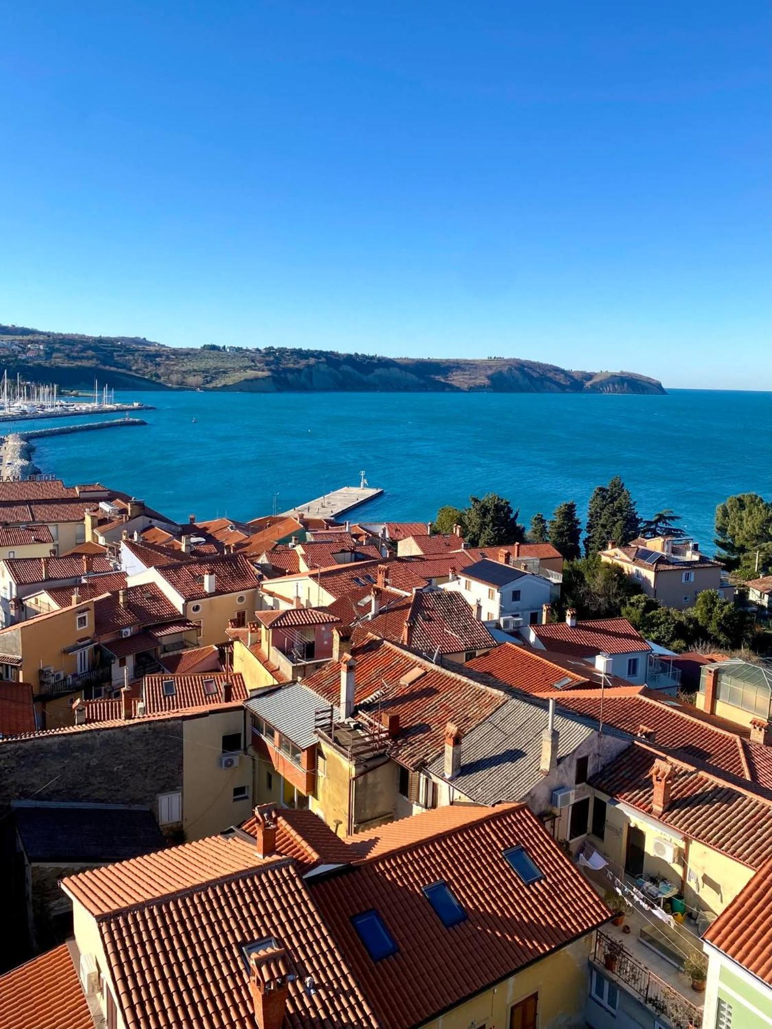 Apartma Rea Izola, Pergola & Terassa, Parking Zimmer foto